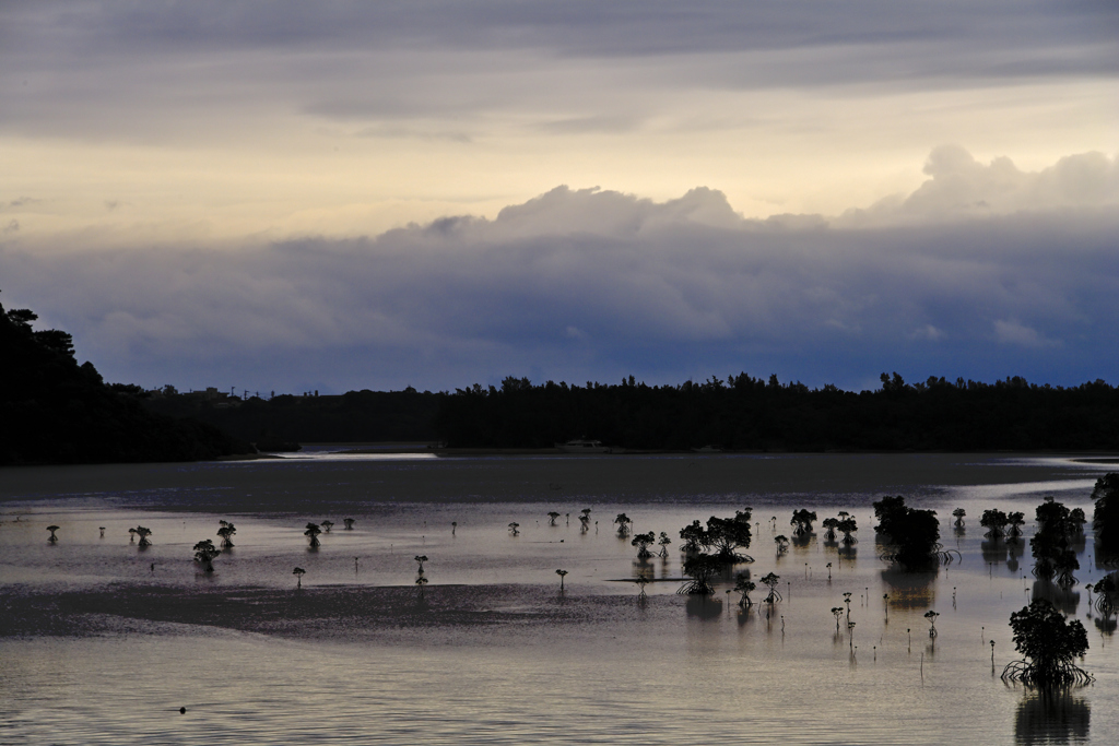 _DSC5578