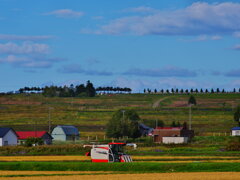 IMGP0035