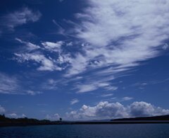 本日は晴天なり（フィルム）