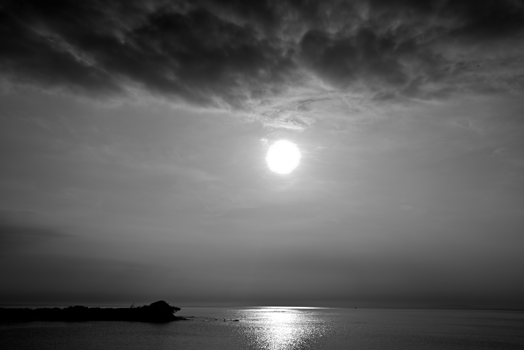 _DSC8816