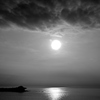 _DSC8816