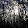 _DSC0180