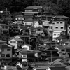 _DSC7852