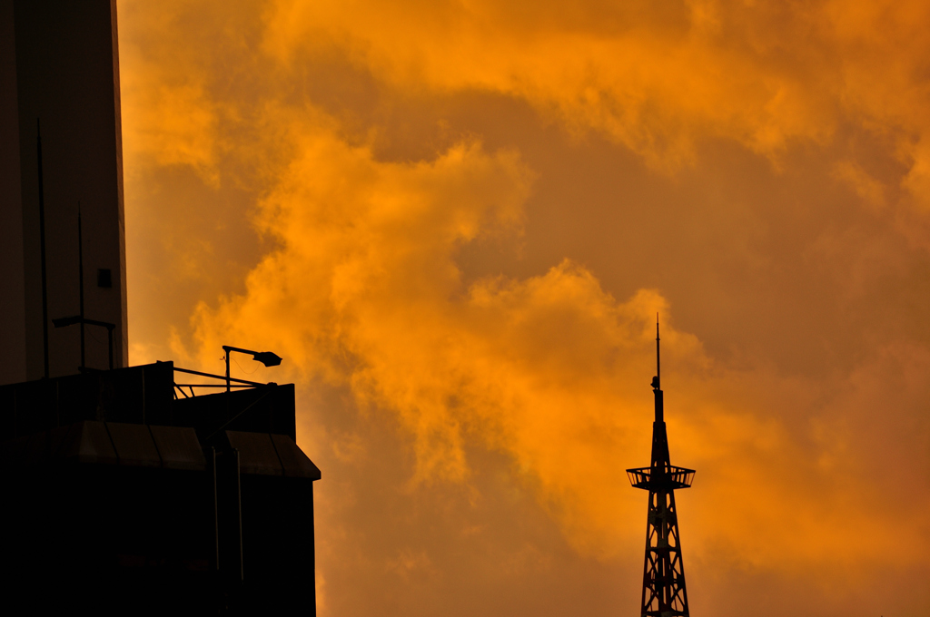 _DSC0041