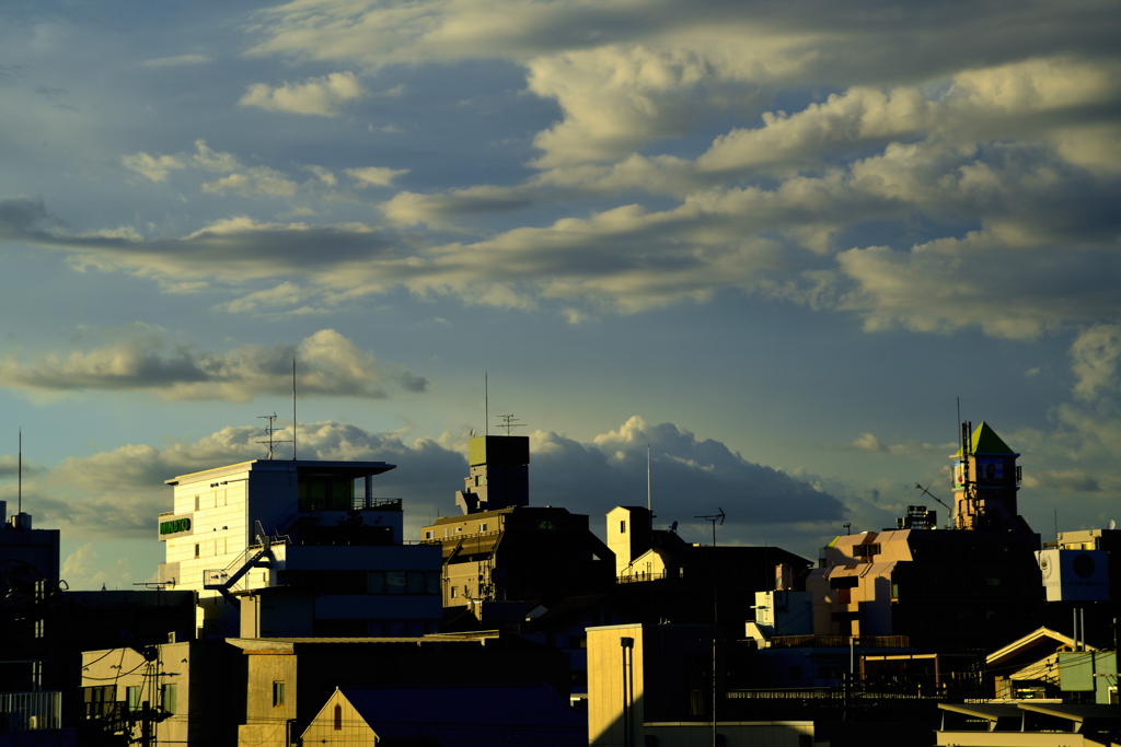 _DSC8370