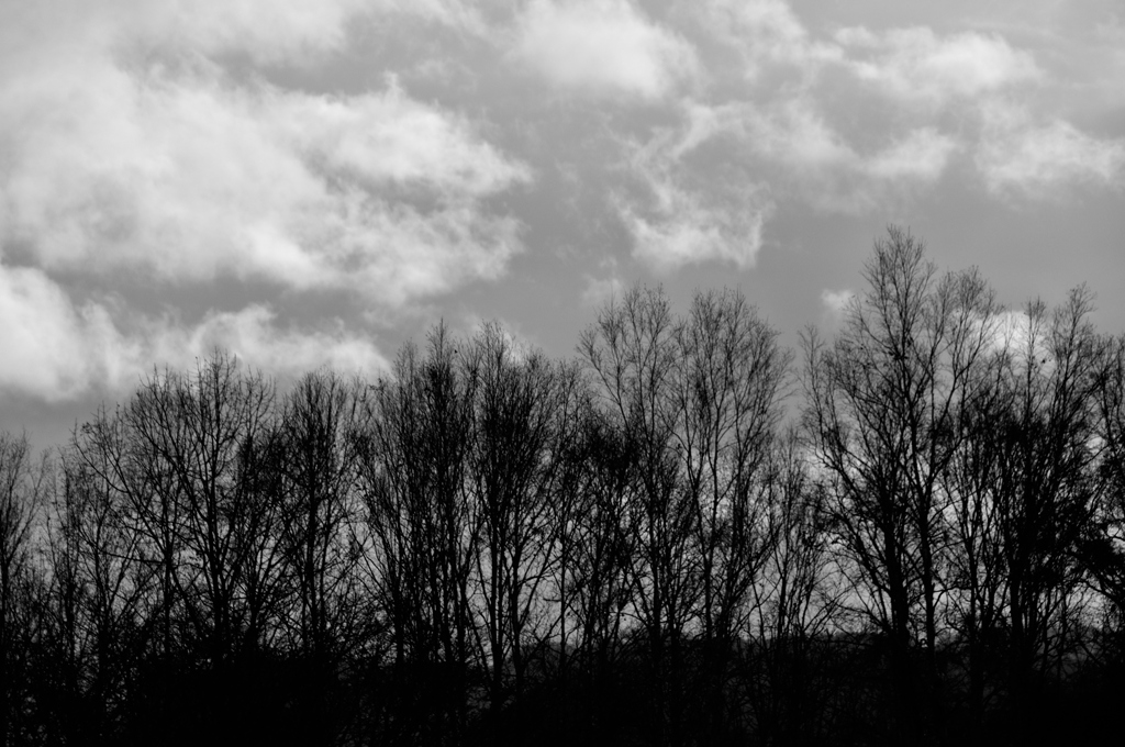 _DSC0226