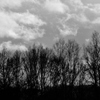 _DSC0226