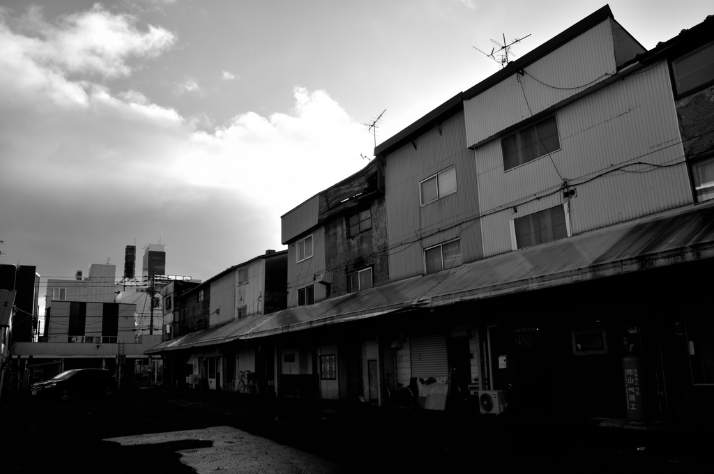 _DSC0091