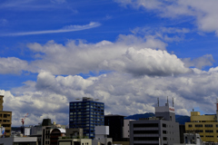 _DSC9073