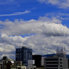 _DSC9073