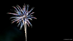 P7150139