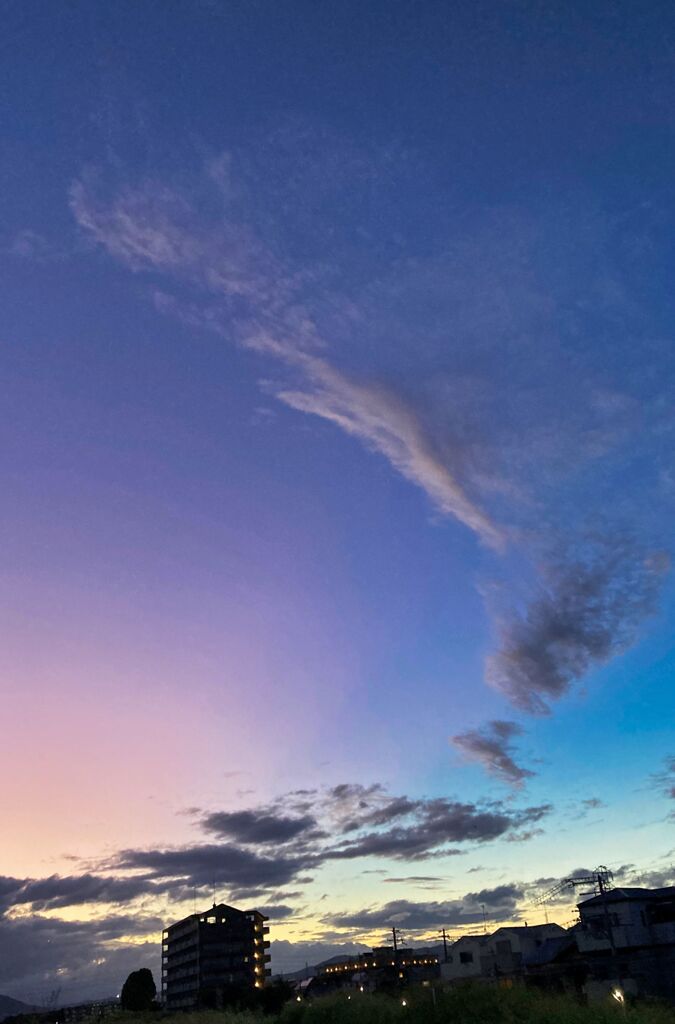 魅惑の空