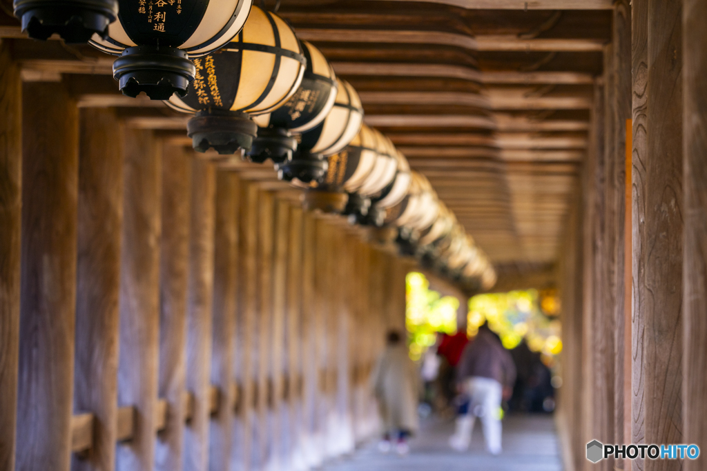 初めての長谷寺