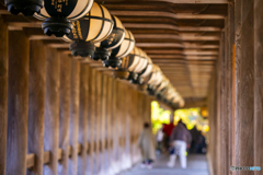 初めての長谷寺