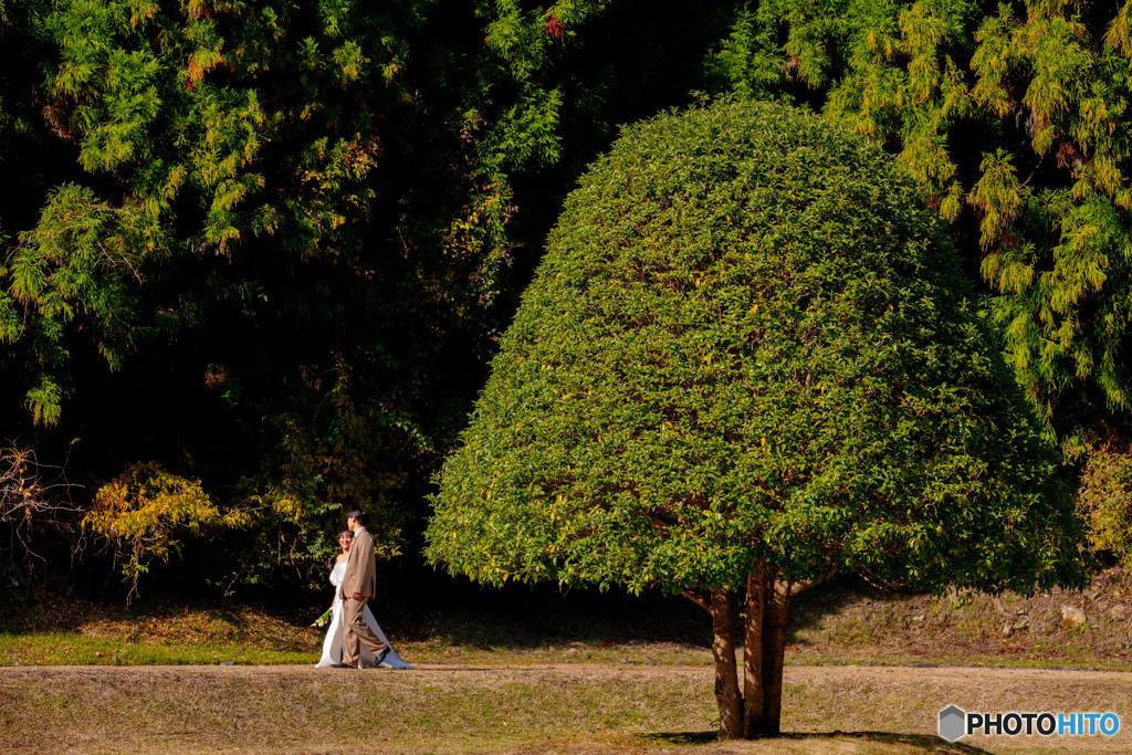 一大イベント準備中