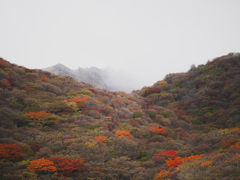 九重連山の紅葉