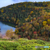 日光白根は紅葉が見頃２