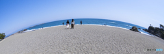 桂浜