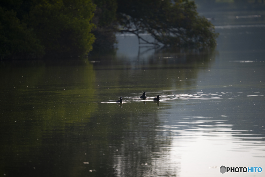 今後、色の変化が楽しみ