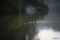 今後、色の変化が楽しみ