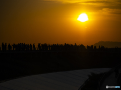 大屋根リングからの夕日