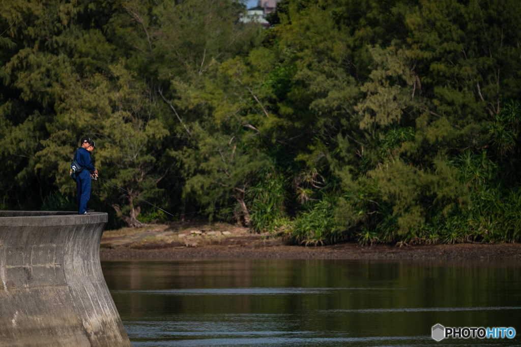 マングローブ林で釣り