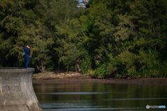 マングローブ林で釣り