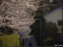 通勤道