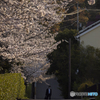通勤道