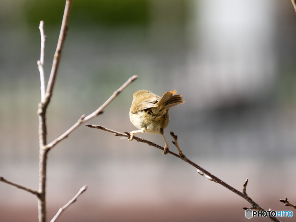 春の到来