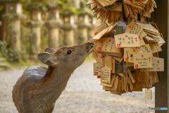 日本語が一つも。