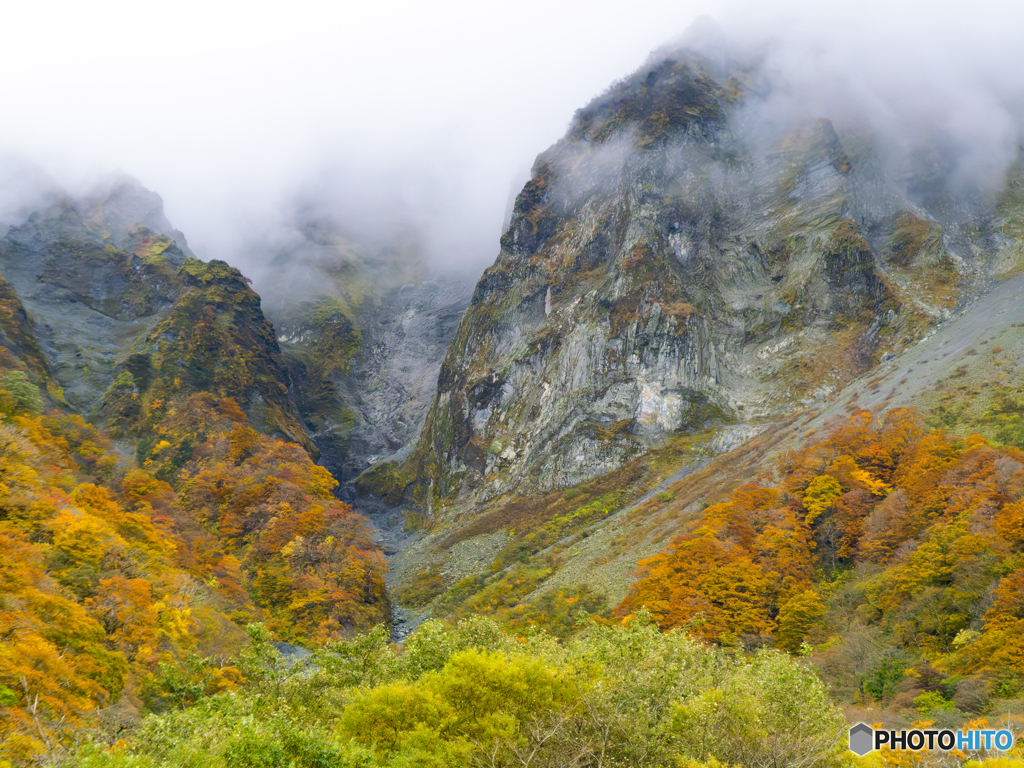 大山　行者登山道