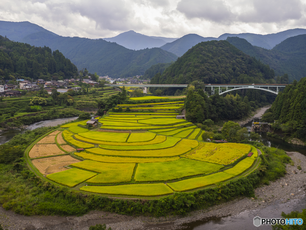 あらぎ島