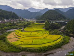 あらぎ島