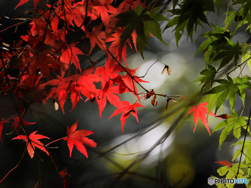 箕面山