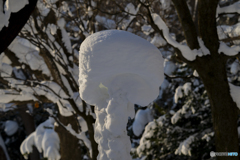 大雪の円山公園