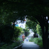 京都