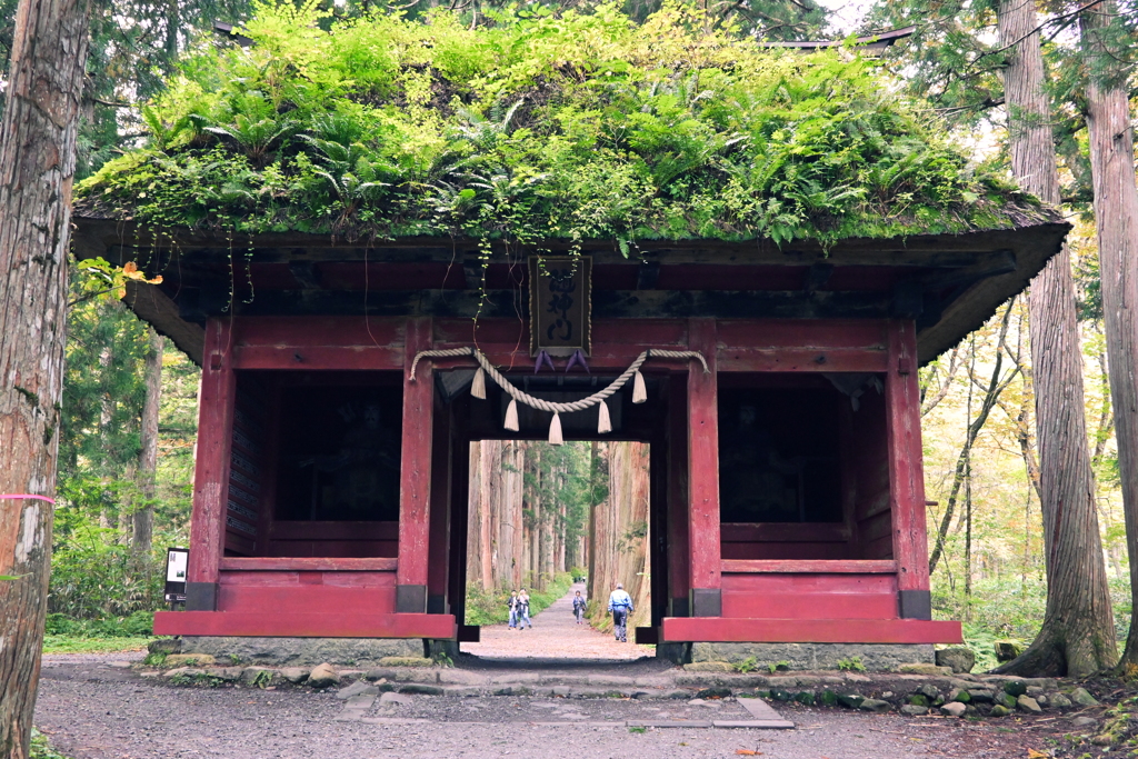 奥社　随神門