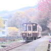 のんびりした駅