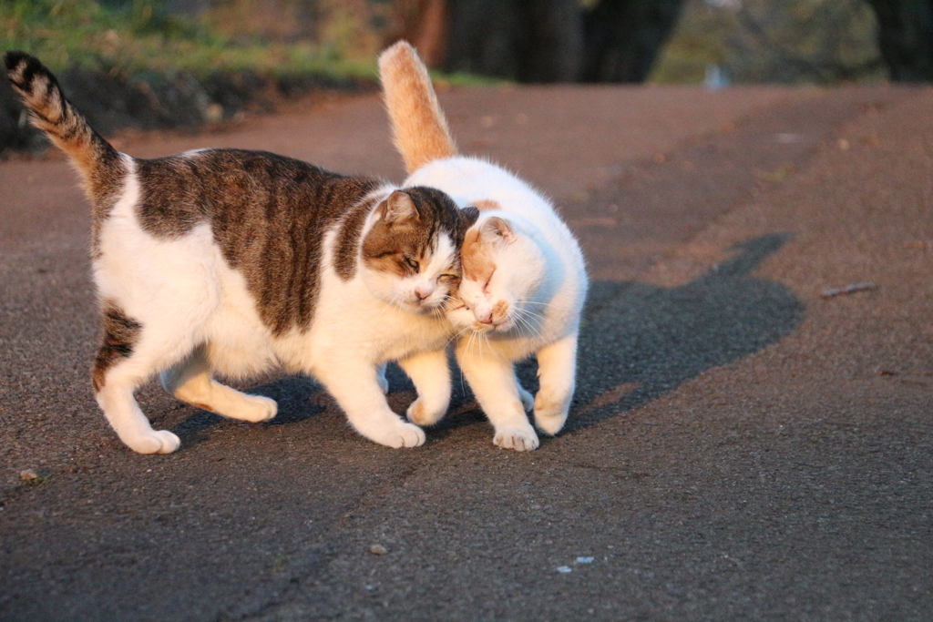 なかよし♡