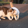 なかよし♡