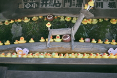石段のアヒルたち