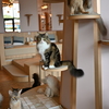 おやつのニオイをかぎつけて、