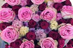９月の花々　1