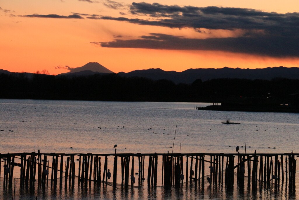 ぐんまの夕景　富士山
