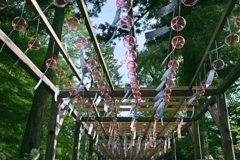 吉祥寺の夏