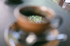 珈琲に映る夏の緑