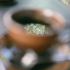 珈琲に映る夏の緑