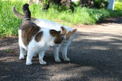 ふたりの時間