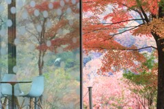 富弘美術館の秋